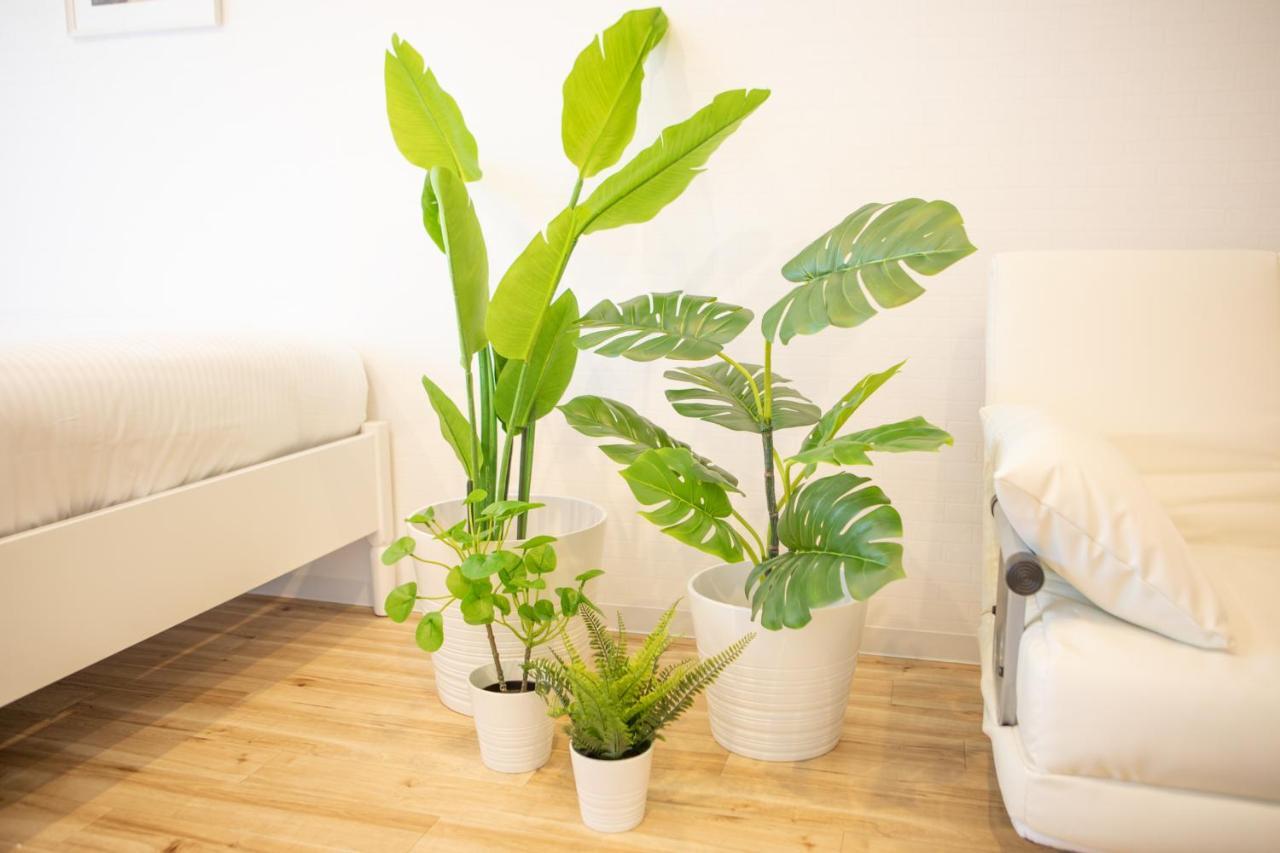 Appartement Komagome Cozy *